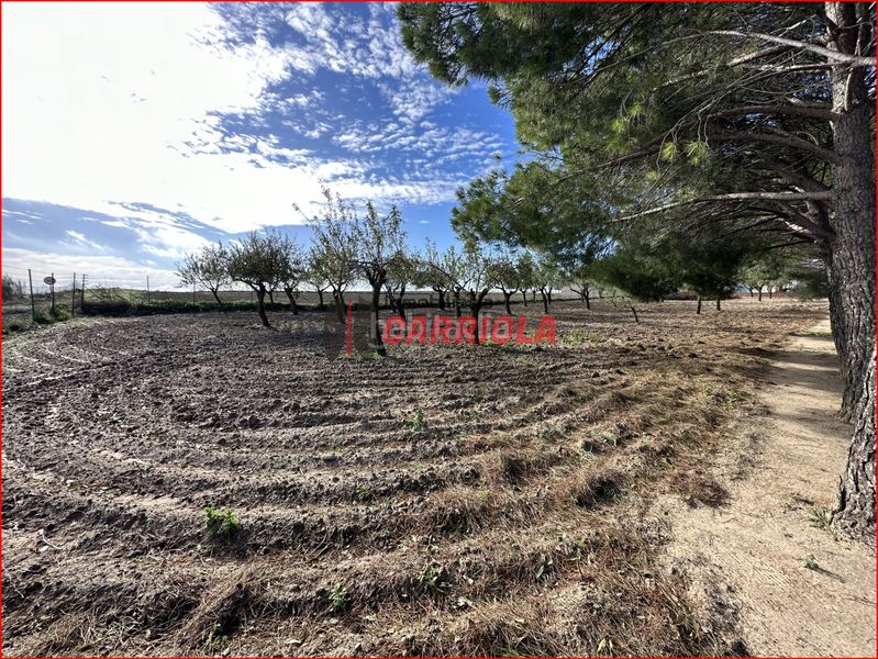 Foto 75a34901-0e48-4591-811b-7362dd518540. Mas dans Gerindote