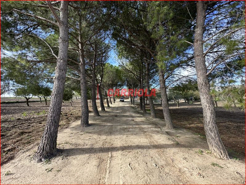 Foto 9d933852-fc59-4623-be72-52234001f053. Mas dans Gerindote