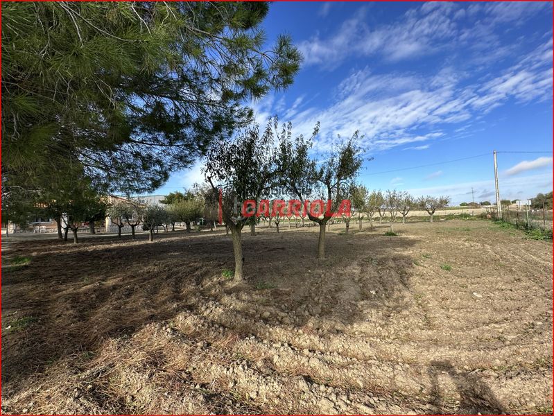 Foto b8fb59ec-9bf3-49ae-824d-4f3029b20e2f. Mas dans Gerindote