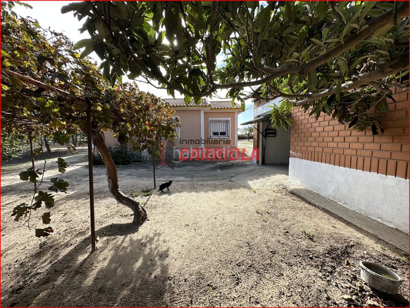 Foto caf849b8-3579-4355-8199-0f6a2f21a943. Mas dans Gerindote