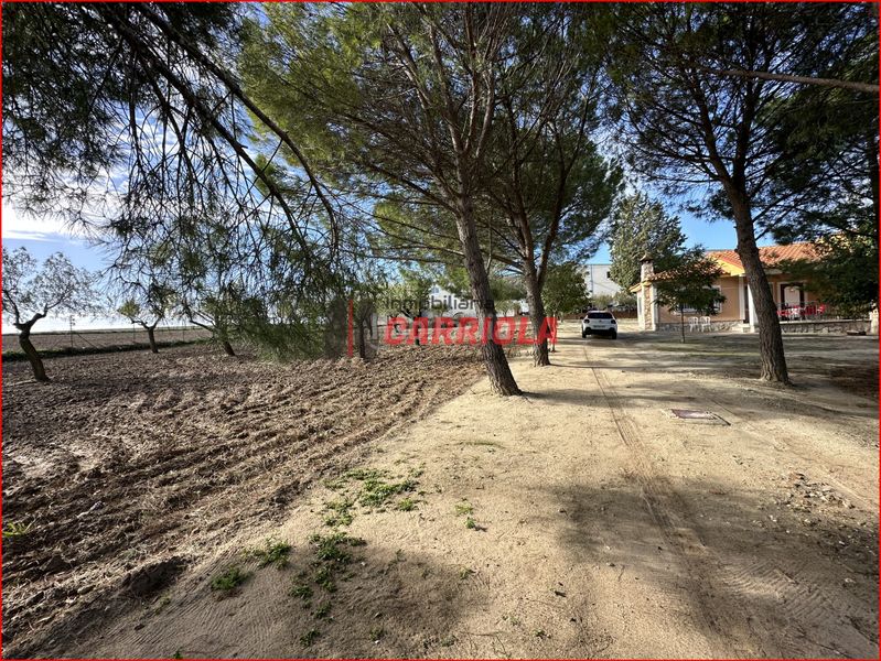 Foto cfe92bbe-f7ef-4a49-b07d-683e49a5c2ac. Mas dans Gerindote