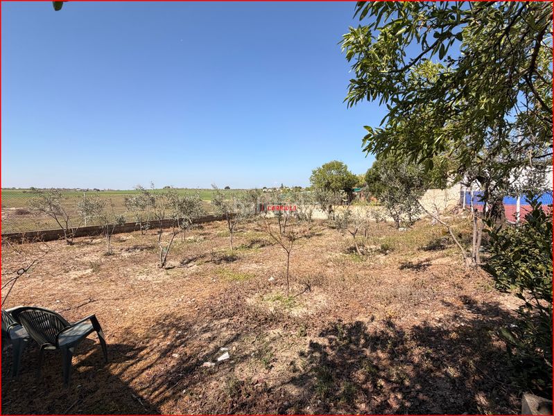 Foto b0570a5c-fdac-4e08-b171-75309f6debbc. Chalet en Ventas de Retamosa (Las)