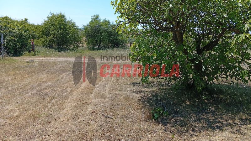 Foto 13e06647-f3e4-41a3-8e03-e340293fb0c1. Masía en Cerralbos (Los)
