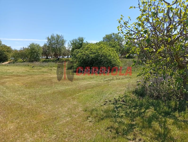 Foto 6802f589-e646-4463-b6f7-358913f750ba. Masía en Cerralbos (Los)