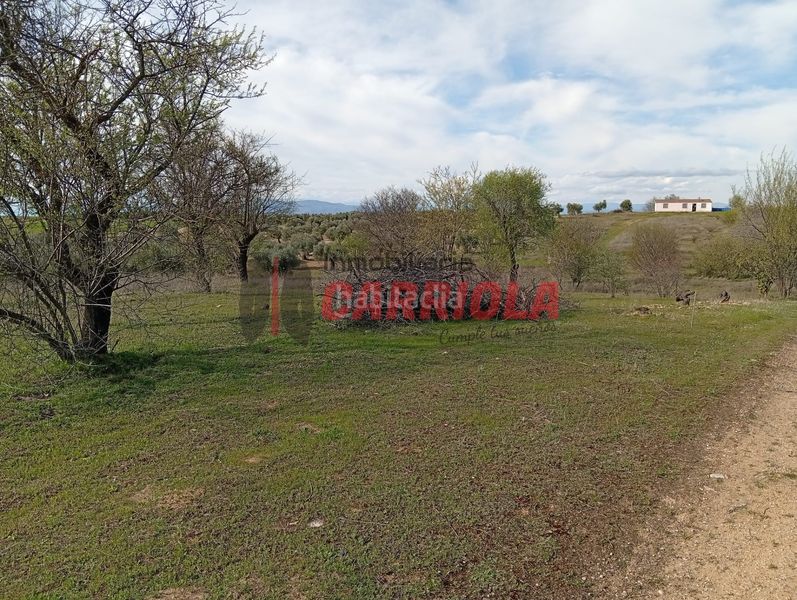 Foto b093da87-769c-4d7d-a058-97a4521636bb. Masía en Cerralbos (Los)