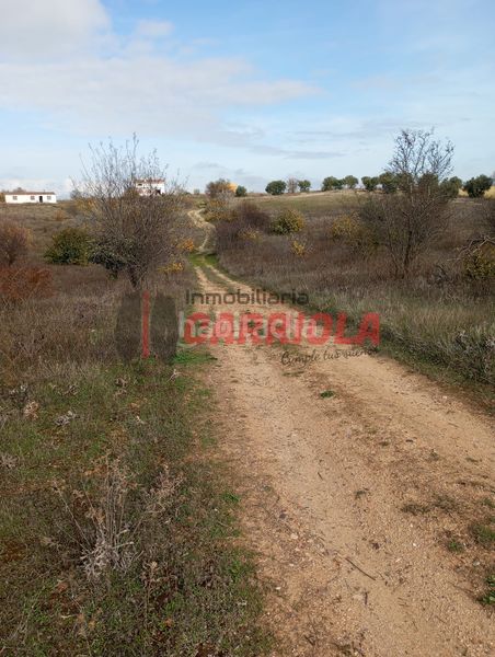 Foto fea88431-7217-414e-8ef4-c3a6cacafabb. Masía en Cerralbos (Los)