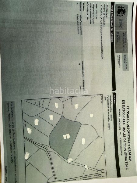 Foto f86c7648-73d8-454e-a0b8-81e1c57c5bc9. Rural plot in Torre de Esteban Hambrán (La)