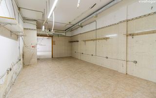 Local Comercial  Francisco ruiz