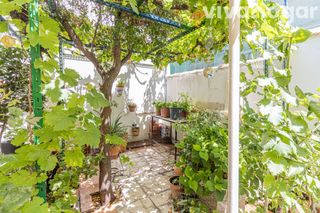 Casa  Tropico
