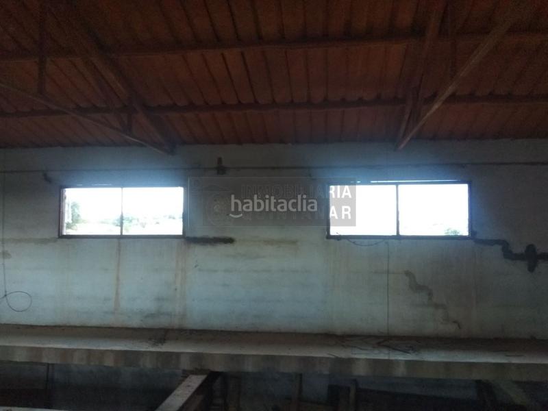 Foto 3c8807f0-f16b-4383-9273-b37174b14e52. Nau industrial a paraje de las colmenillas a Toboso (El)