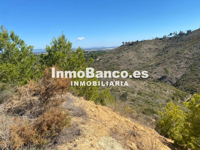 Foto 34ac22c2-af8b-40c8-b4fe-a630b59a4684. Terreno residenziale in carrer del general cavalcanti 42 in Torrent