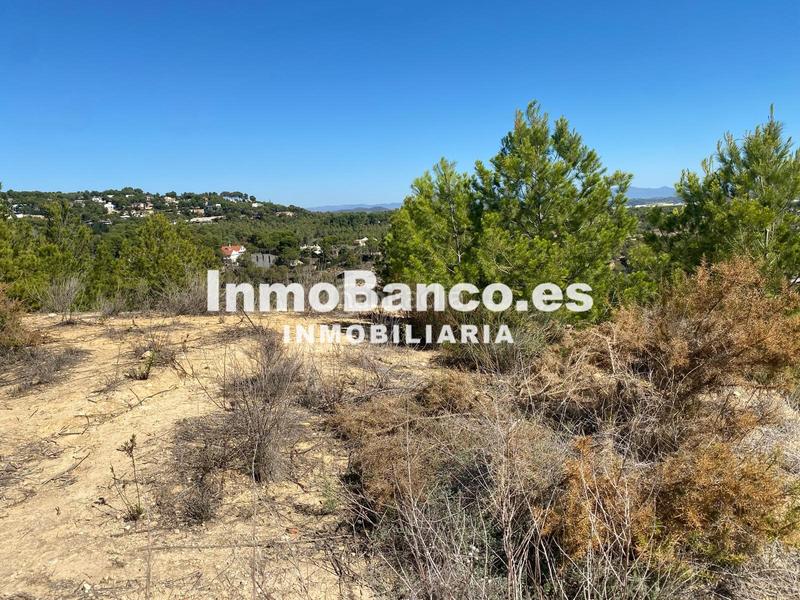 Foto 3a9792b2-68d5-4866-aeab-b6cd49b13240. Terreno residenziale in carrer del general cavalcanti 42 in Torrent