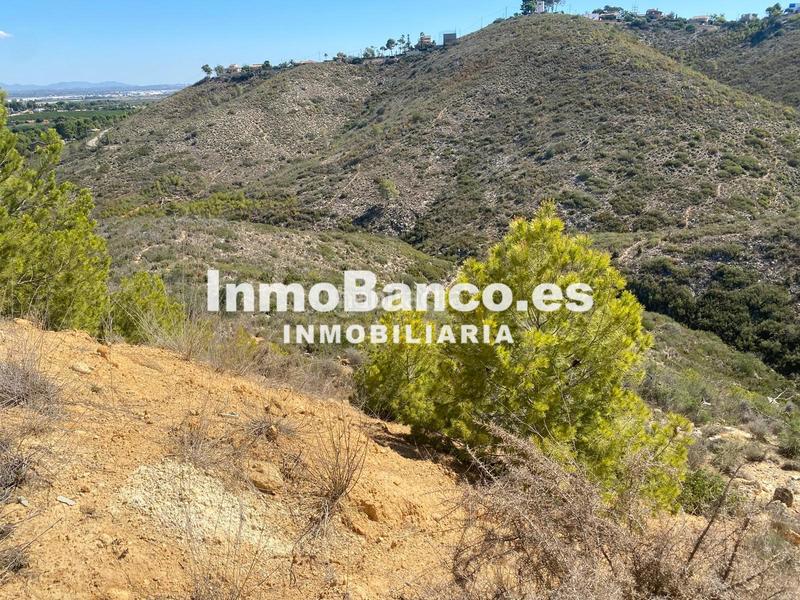 Foto 9161183f-538b-405c-9e92-f92060df18ce. Terreno residenziale in carrer del general cavalcanti 42 in Torrent