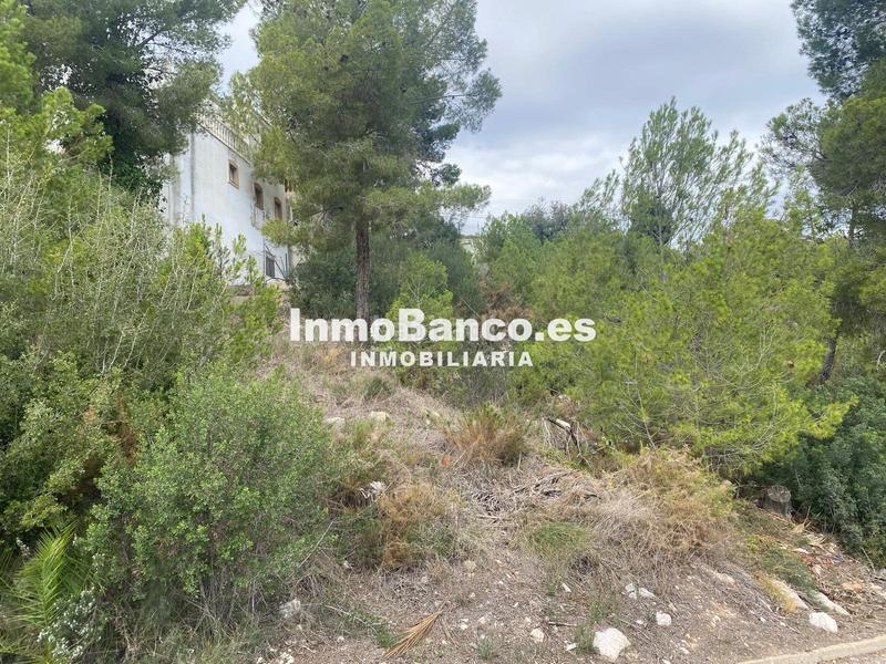 Foto 11b09068-225f-43ff-ae46-8726105dd7f9. Terreno residenziale in calle pascual y genís 869 in Chiva