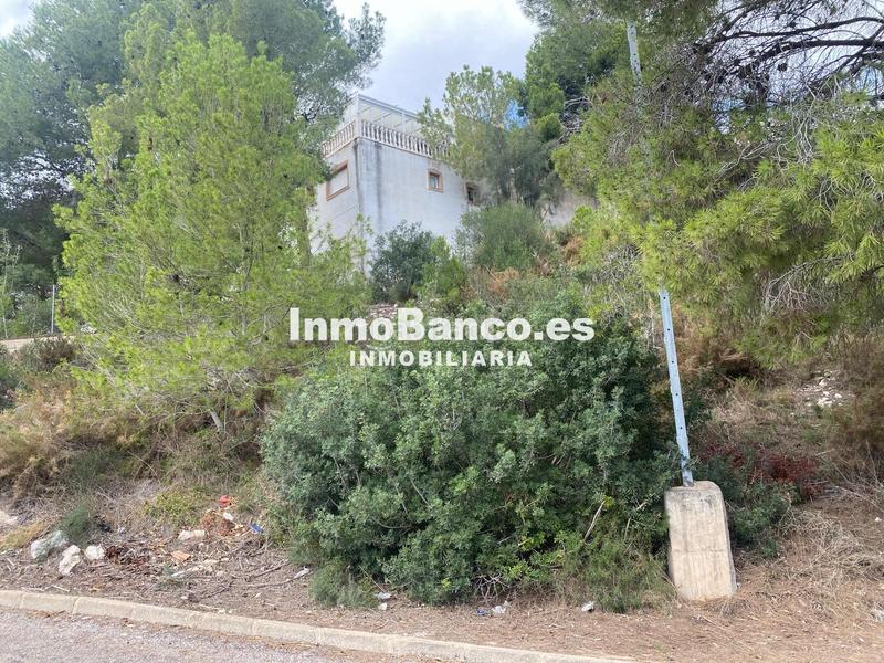 Foto 50406fe4-417c-4404-9198-2e006c00e4d6. Terreno residenziale in calle pascual y genís 869 in Chiva