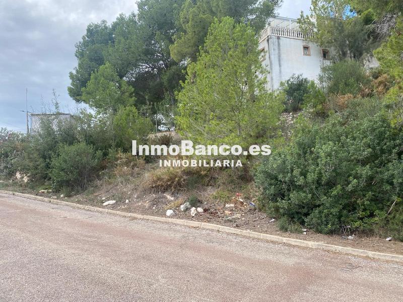 Foto 5eaafe85-68d2-474e-85c6-ce01eb6b0431. Terreno residenziale in calle pascual y genís 869 in Chiva