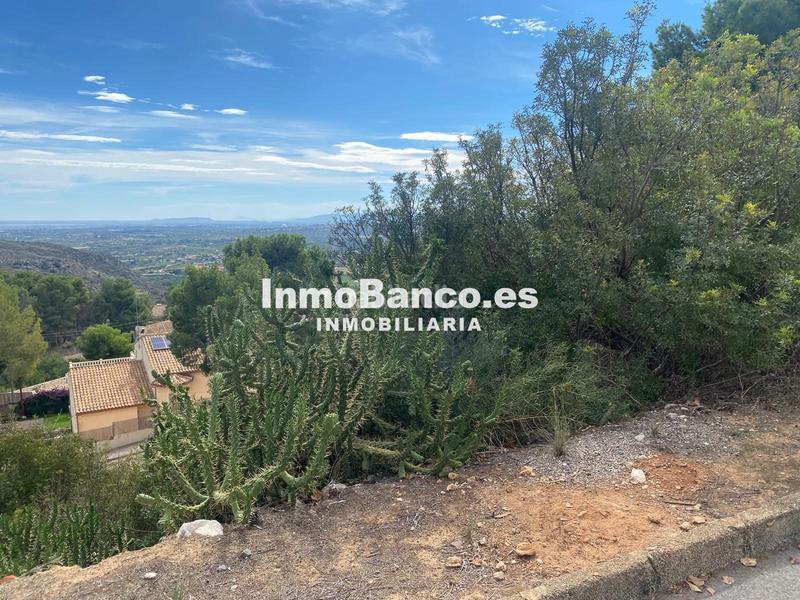 Foto 7a16c99f-7680-402d-81e7-c989aba988ba. Terreno residenziale in calle pascual y genís 869 in Chiva