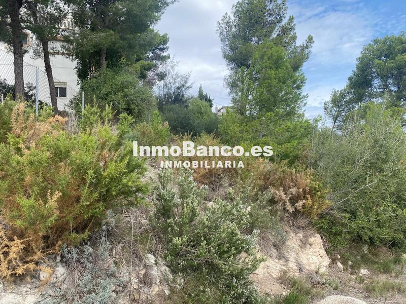 Foto d521f499-9d4a-45a7-9dd4-59231eaf27b5. Terreno residenziale in calle pascual y genís 869 in Chiva