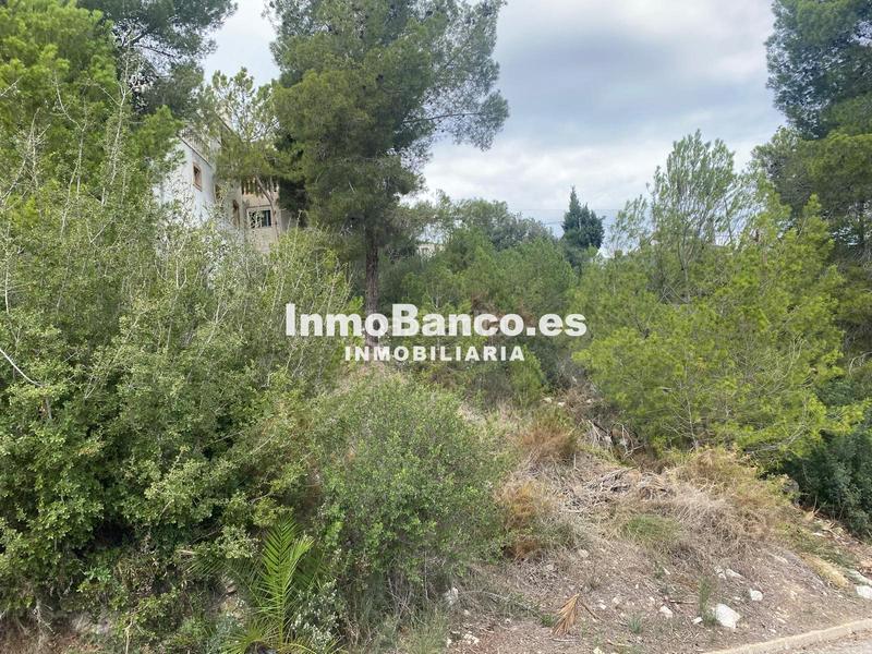 Foto e5b9213e-77f2-41ec-8b5c-fc4040cdd35d. Terreno residenziale in calle pascual y genís 869 in Chiva