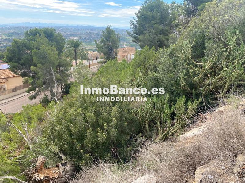 Foto e7599459-2ed0-4bb2-963d-fd742895bd57. Terreno residenziale in calle pascual y genís 869 in Chiva