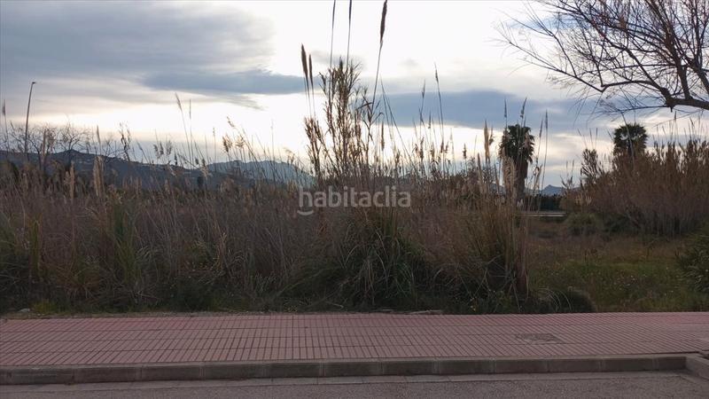 Foto 9fca0888-819b-4b87-aaaf-d1f7f77012cd. Terreny residencial a carrer muntanyar 30 a Piles