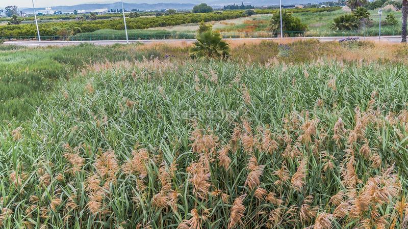 Foto 9ed60cc2-aad6-4bea-9ef1-368bad8e111b. Wohngrundstück in carrer benidorm 12 in Moncófar Playa Moncofa