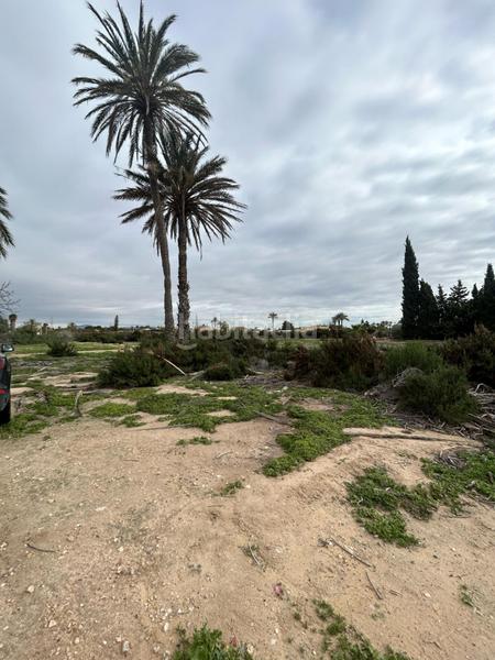 Foto 56830431-70a9-4e31-9bb4-9620736f6214. Casa a Algorós - El Derramador Elche / Elx