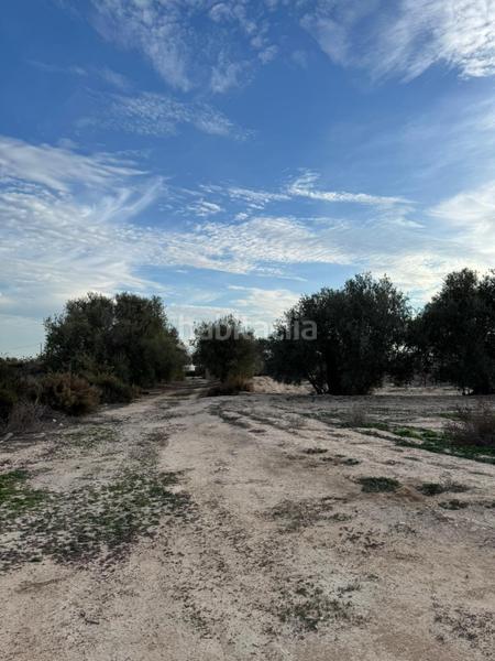 Foto 6a066dc7-f0d3-40a9-9b9e-1a9a4c6a91a0. Casa a Algorós - El Derramador Elche / Elx