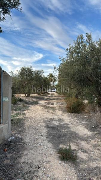 Foto ba23653f-fd66-46ce-954e-1f29acab4ff4. Casa a Algorós - El Derramador Elche / Elx