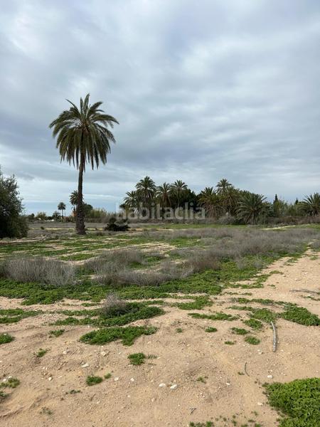 Foto 05383442-5432-4c34-8602-fc6bd8dadef9. Maison dans Algorós - El Derramador Elche / Elx