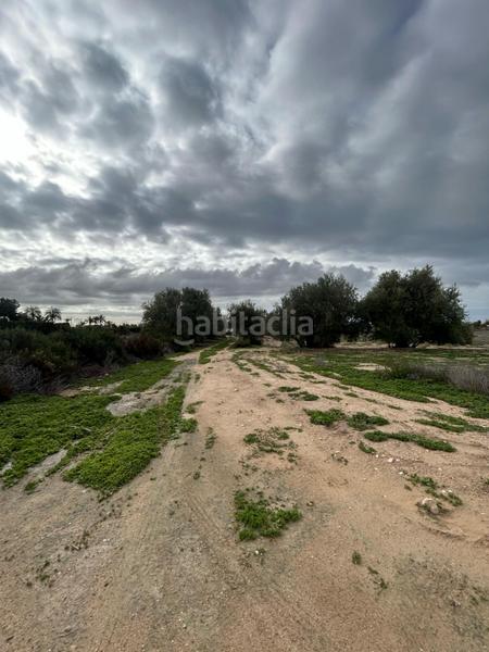 Foto 87641d60-8942-4d48-9c40-ab7fa477a907. Maison dans Algorós - El Derramador Elche / Elx