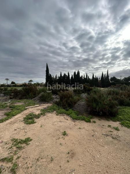 Foto 9898ed18-7b7a-4b07-86d9-3aaea7dd929c. Maison dans Algorós - El Derramador Elche / Elx