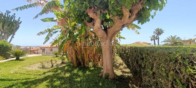 Foto ad6add8a-d0ab-4d2d-938c-2435dddb7001. Alquiler casa en calas Santa Pola este Santa Pola