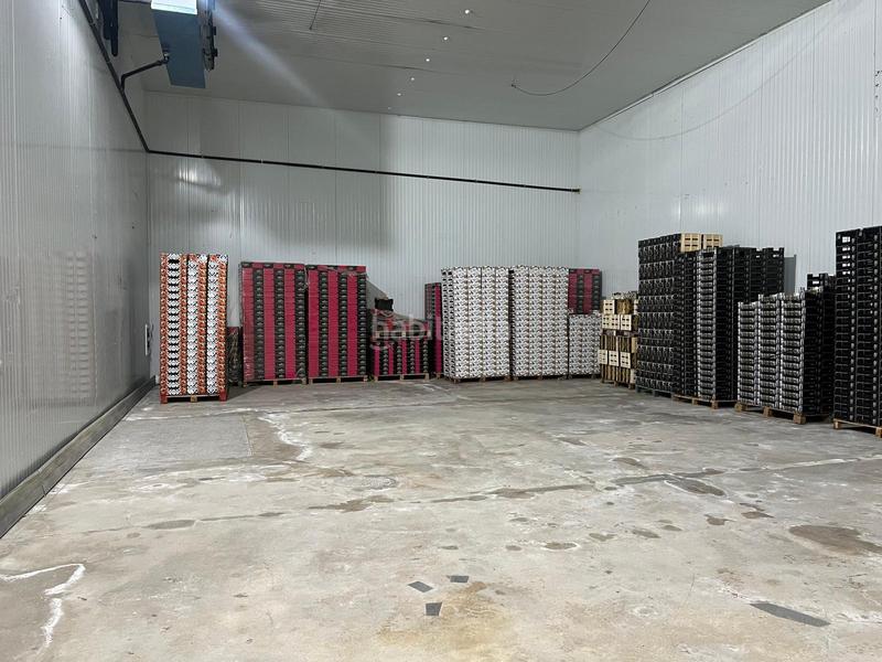 Foto faeecbd2-5b67-48c2-b949-3b8af95714e7. Affitto capannone industriale in Perleta - Maitino Elche / Elx