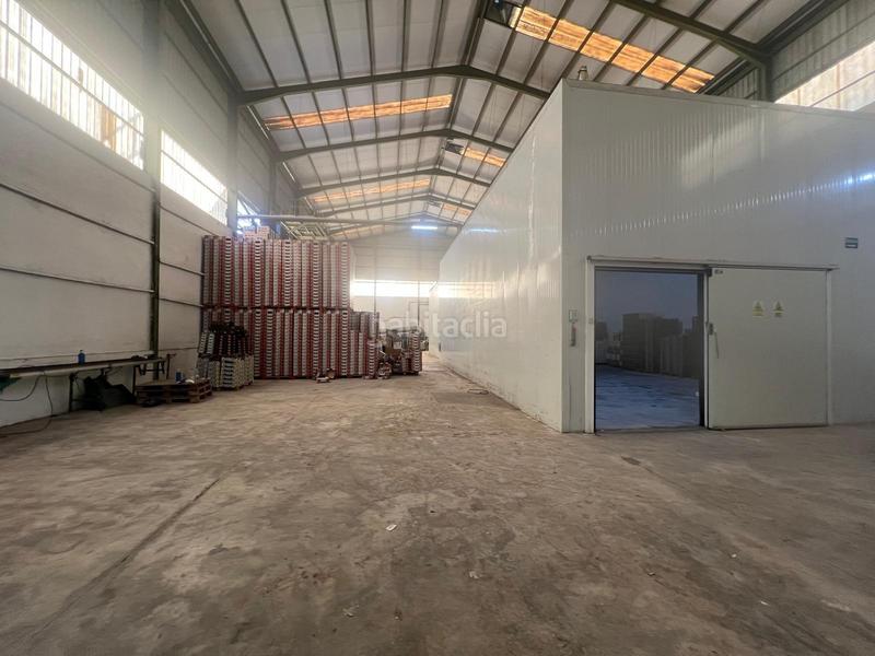 Foto f6362841-6615-4774-90bd-07be07b73814. Miete fabrikhalle in Perleta - Maitino Elche / Elx