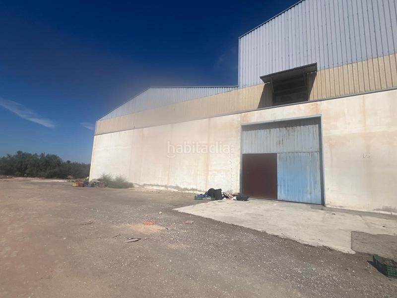 Foto fd819c96-8ee2-4ca1-a553-36b14b026382. Miete fabrikhalle in Perleta - Maitino Elche / Elx