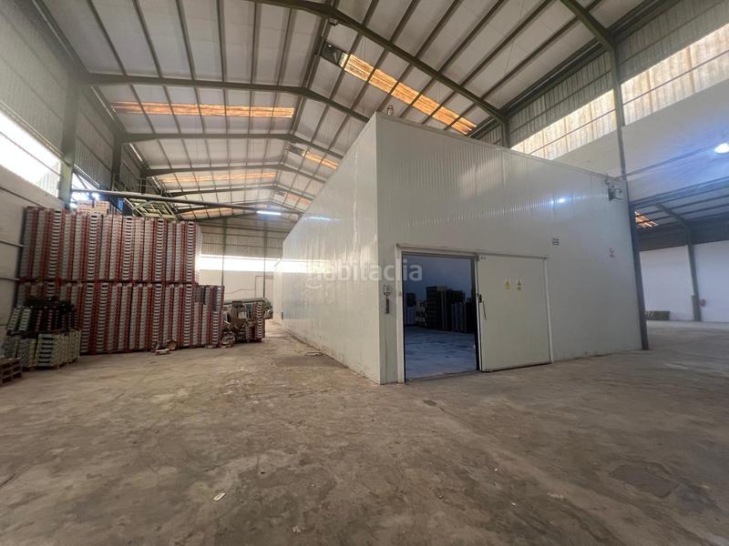 Foto 2212b55b-f9cd-49f0-b3c2-bb289e2e8ece. Rent industrial building in Perleta - Maitino Elche / Elx