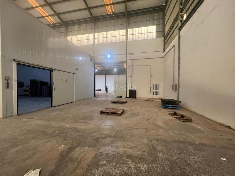 Foto d50aabe3-52b1-410e-9ce4-a42fc0ce7e62. Rent industrial building in Perleta - Maitino Elche / Elx