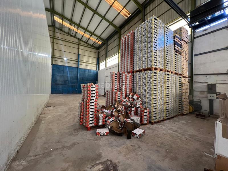 Foto 8e1c590e-56e3-4ddb-9e4c-fb23ce531e93. Lloguer nau industrial a Perleta - Maitino Elche / Elx