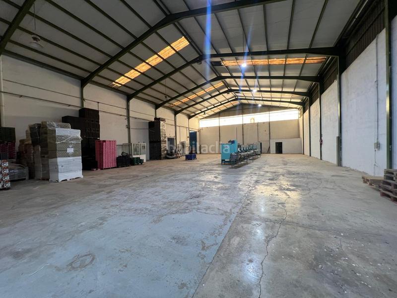 Foto 0fa6ca2c-d6ce-453b-8588-82ff240981ff. Alquiler nave industrial en Perleta - Maitino Elche / Elx