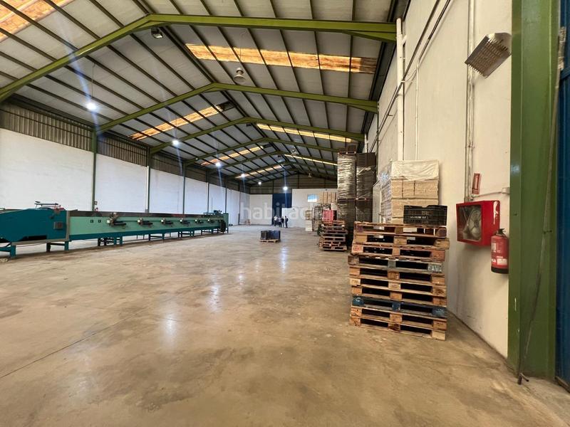 Foto 4a8beee5-ecc0-479c-9f89-c4206f18dbf6. Alquiler nave industrial en Perleta - Maitino Elche / Elx