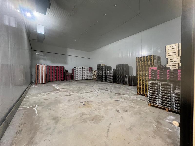 Foto 7f29cf73-7df3-4395-aab4-3630f211df2b. Alquiler nave industrial en Perleta - Maitino Elche / Elx