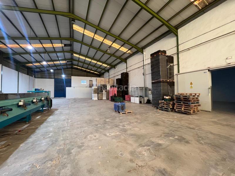 Foto 9e0c701c-183e-4f7e-8ffd-4919c9f69094. Alquiler nave industrial en Perleta - Maitino Elche / Elx