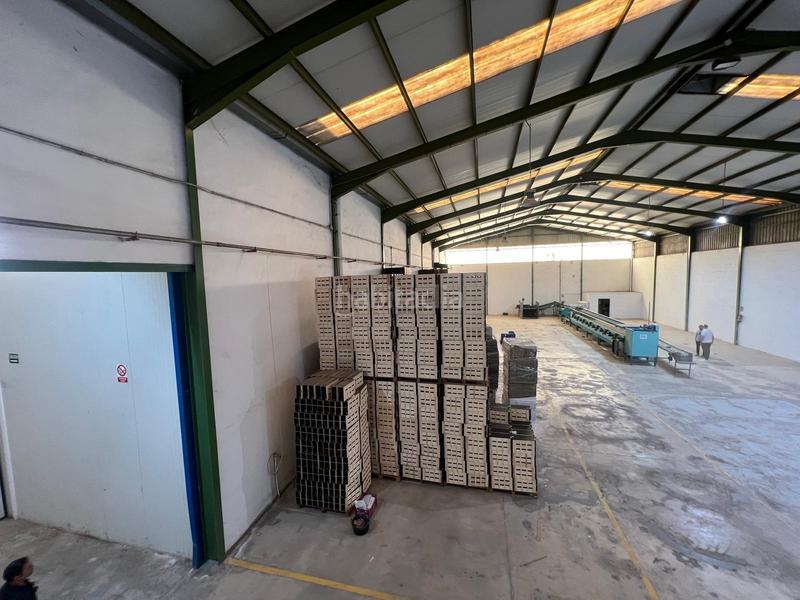 Foto c02a73b9-40c8-4d61-a401-cb05405830ec. Alquiler nave industrial en Perleta - Maitino Elche / Elx