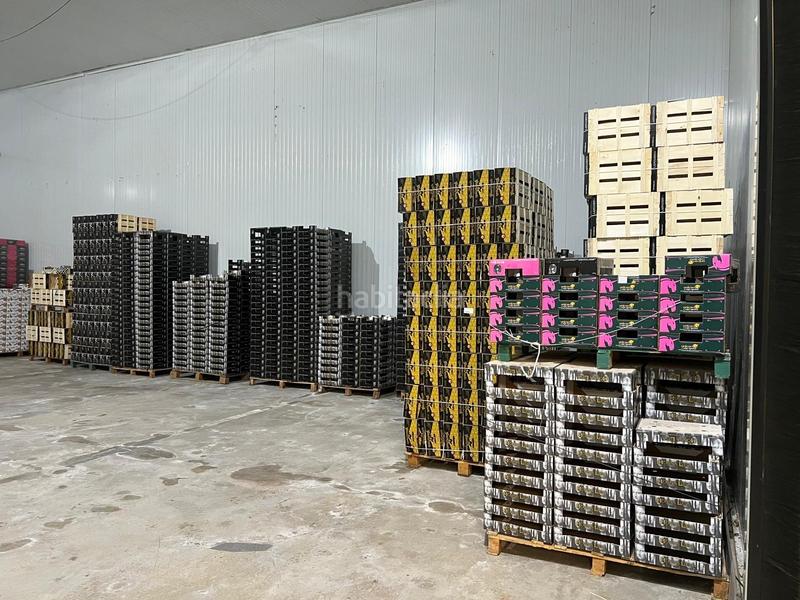 Foto c4fc89bf-6257-452d-8761-baa04c21a6d5. Alquiler nave industrial en Perleta - Maitino Elche / Elx