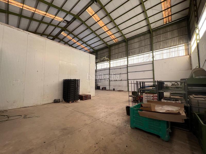 Foto f3820693-5b98-44c4-9411-4a4af32cd58f. Alquiler nave industrial en Perleta - Maitino Elche / Elx