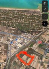 Finca rústica a San Fulgencio. Terreno en venta entre guardamar y la marina