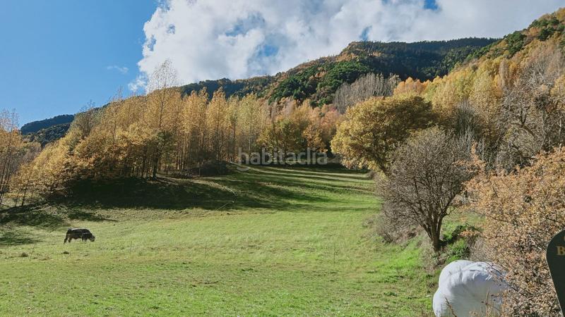 Foto 09e71606-ce99-4f3a-bc63-a29e05a2e696. Terreno residencial parcel·la urbana a àreu en Alins