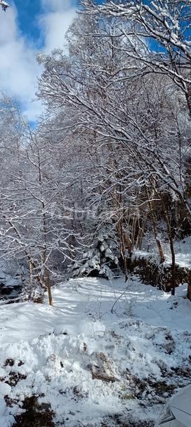 Foto 65e25403-31b4-4bba-b98a-bc831d4a8818. Residential plot in Guingueta d´Àneu (La)