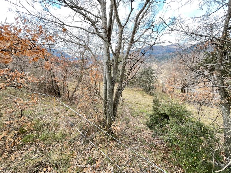 Foto be766927-d0d3-446f-a300-3a6f994d6efc. Fondo rustico in Soriguera